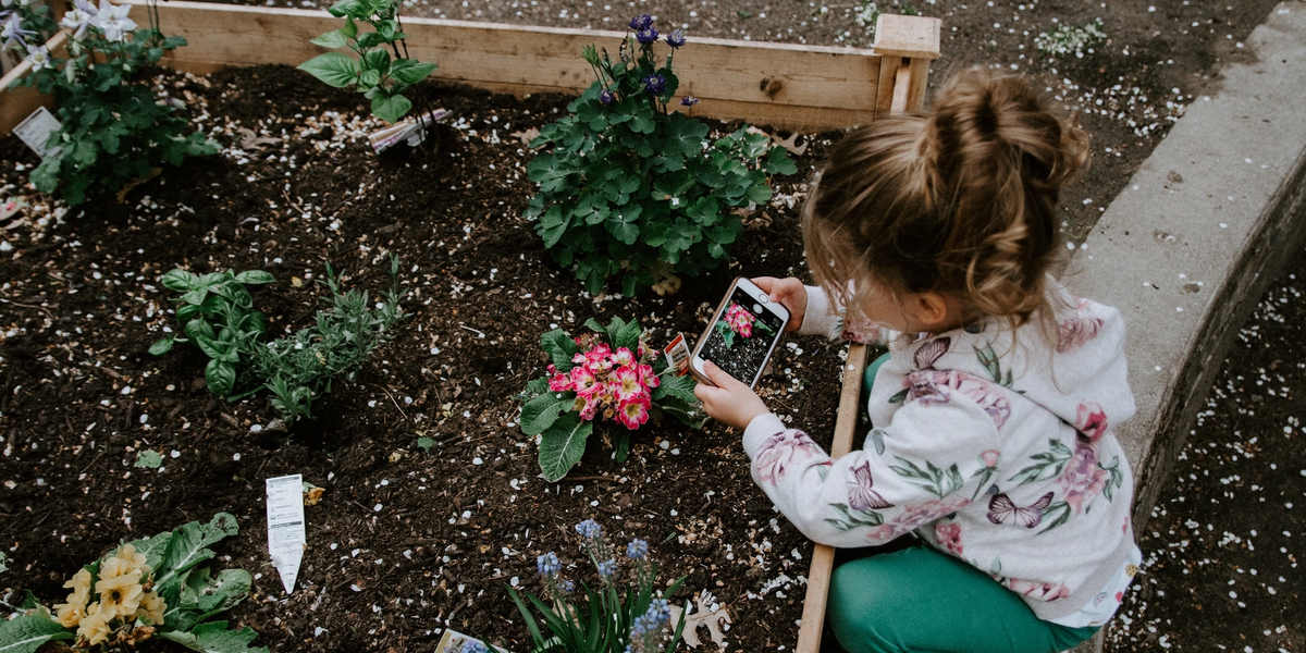Child using phone to look at flowers