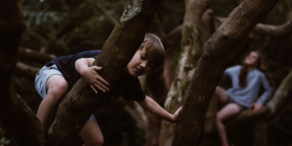 Two children climbing trees